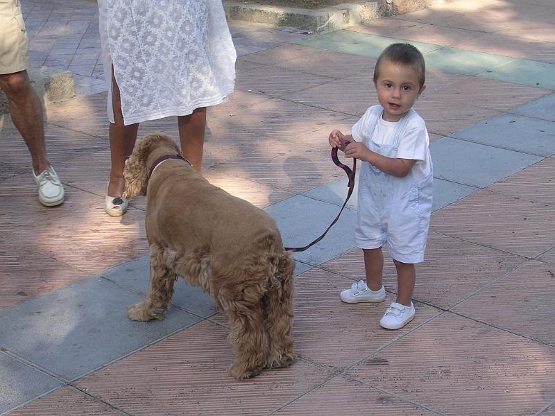 26-jun-2009 19-03-23.JPG